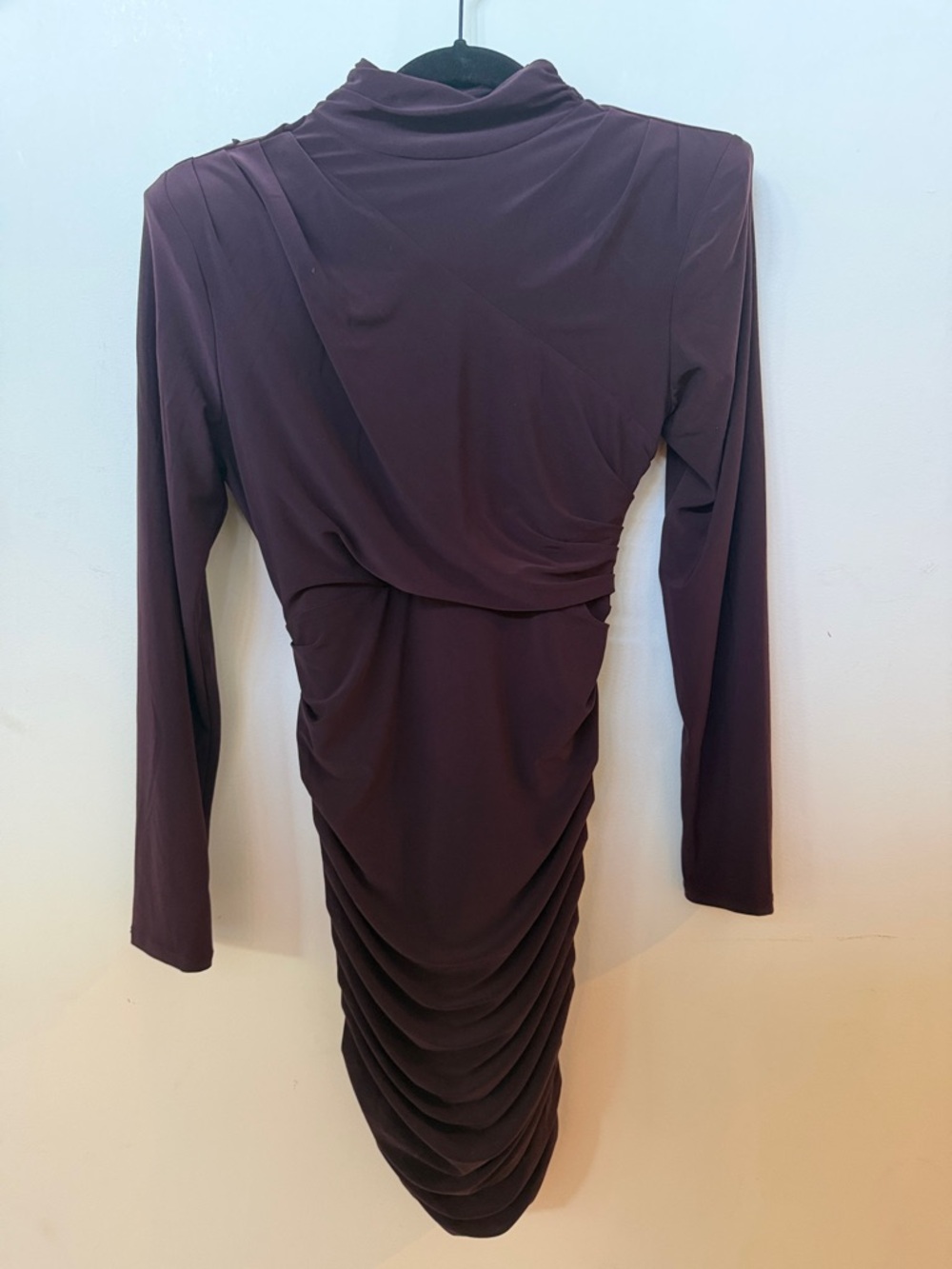 Express Long Sleeve Ruched Bodycon Dress in Plum
